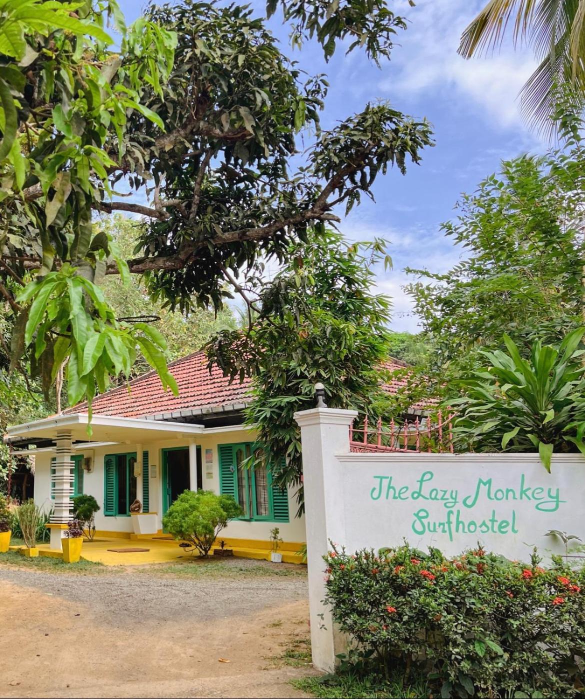 Lazy Monkey Surfhostel - Sri Lanka Dikwella Eksteriør billede
