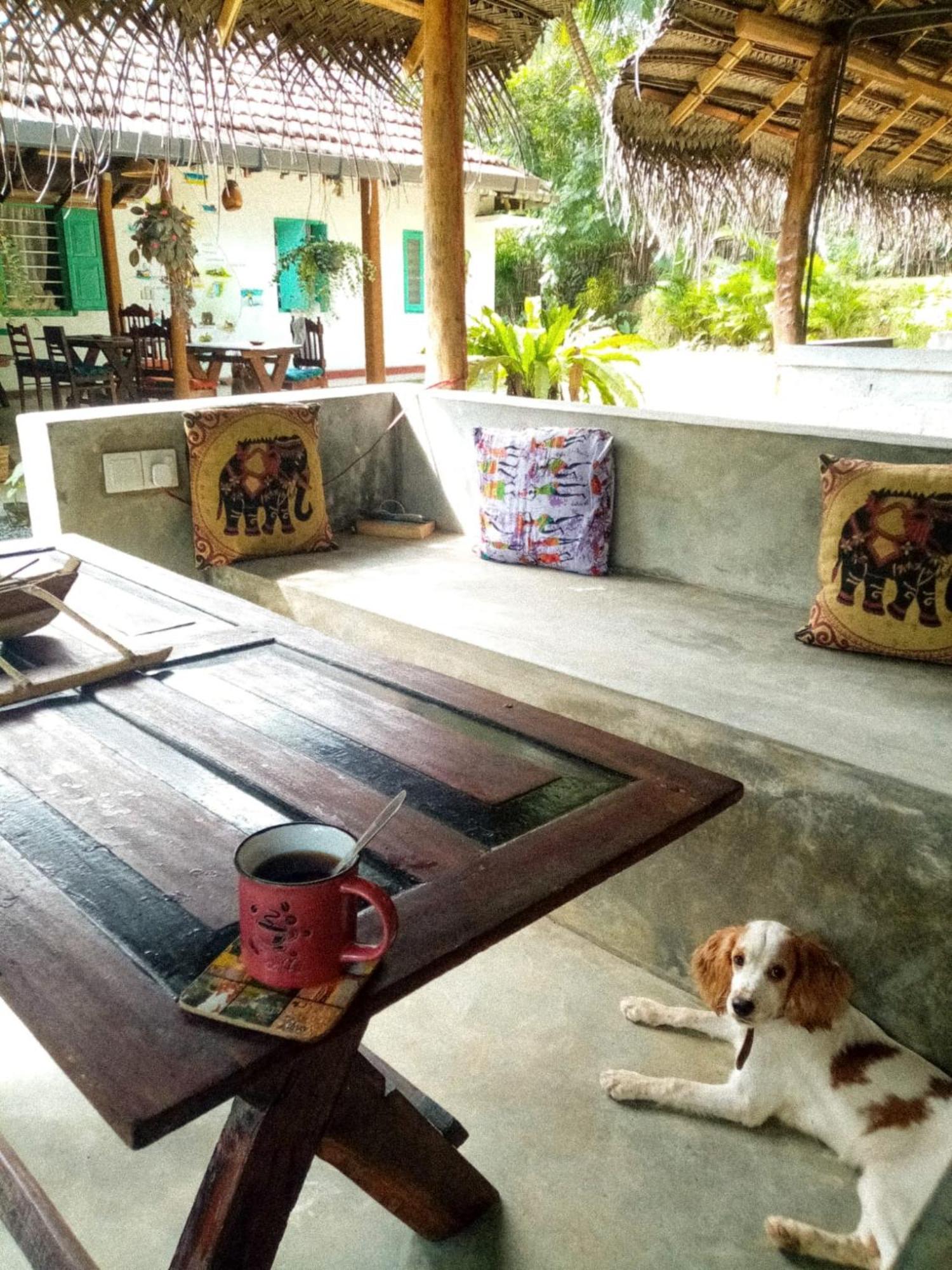 Lazy Monkey Surfhostel - Sri Lanka Dikwella Eksteriør billede