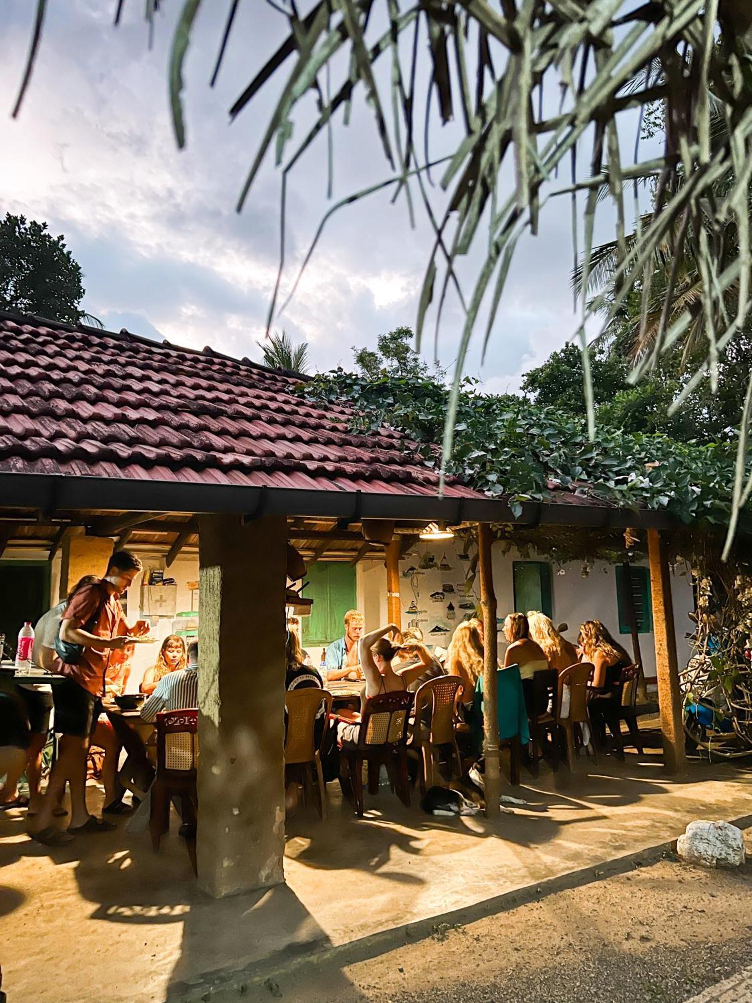 Lazy Monkey Surfhostel - Sri Lanka Dikwella Eksteriør billede
