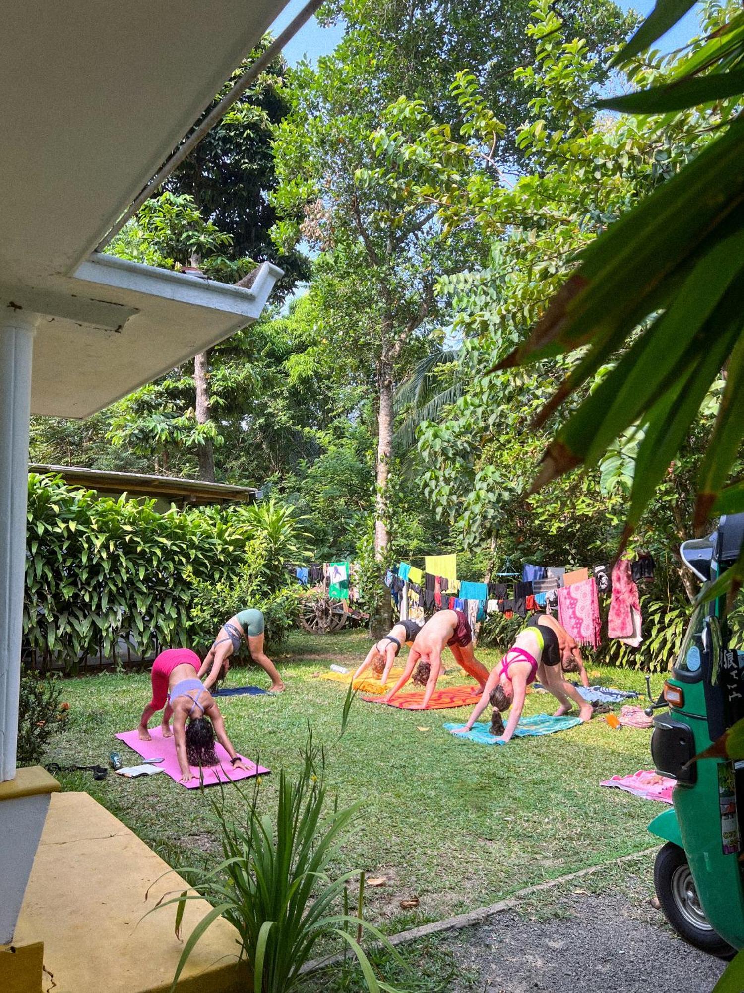 Lazy Monkey Surfhostel - Sri Lanka Dikwella Eksteriør billede