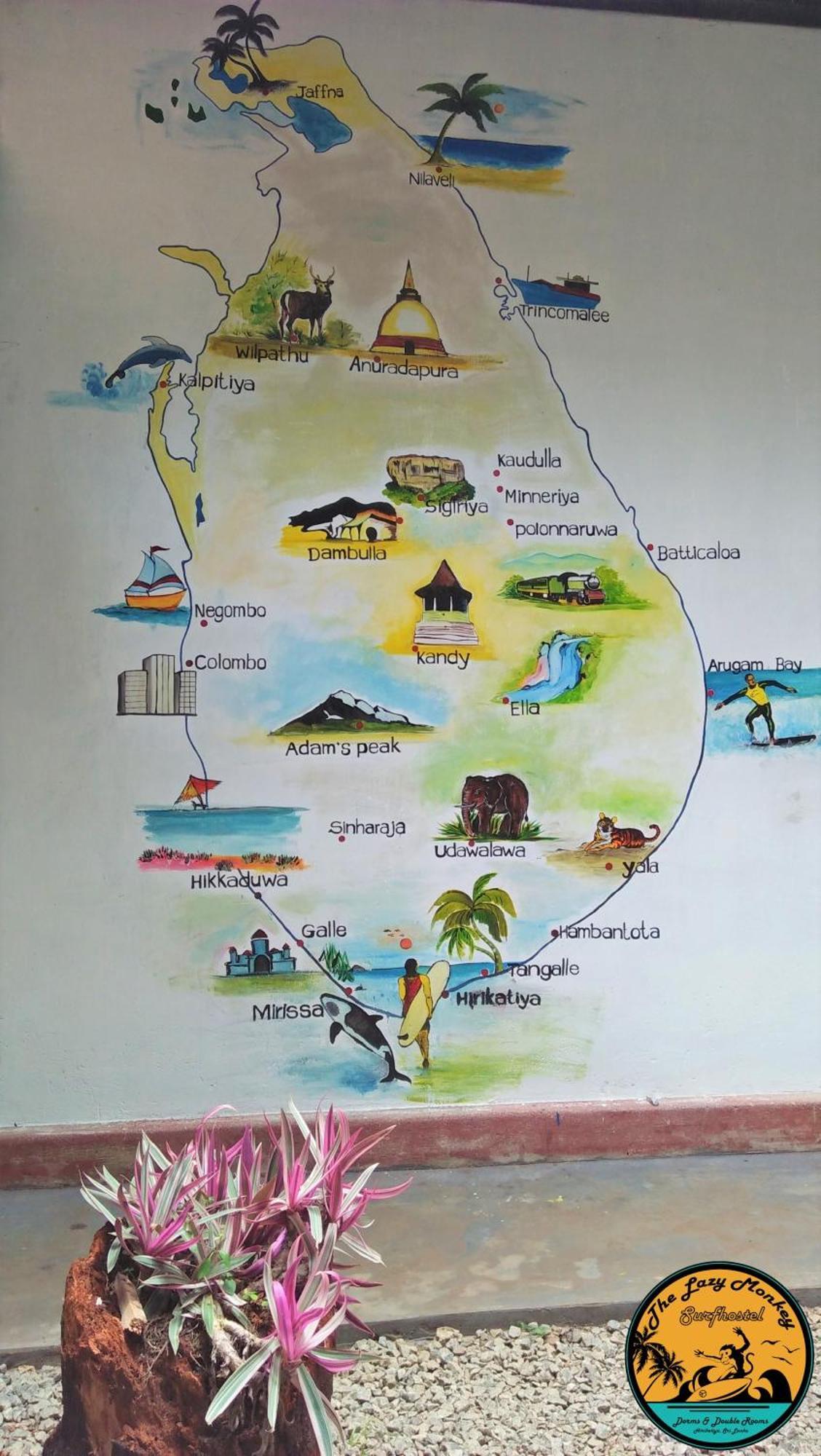 Lazy Monkey Surfhostel - Sri Lanka Dikwella Eksteriør billede
