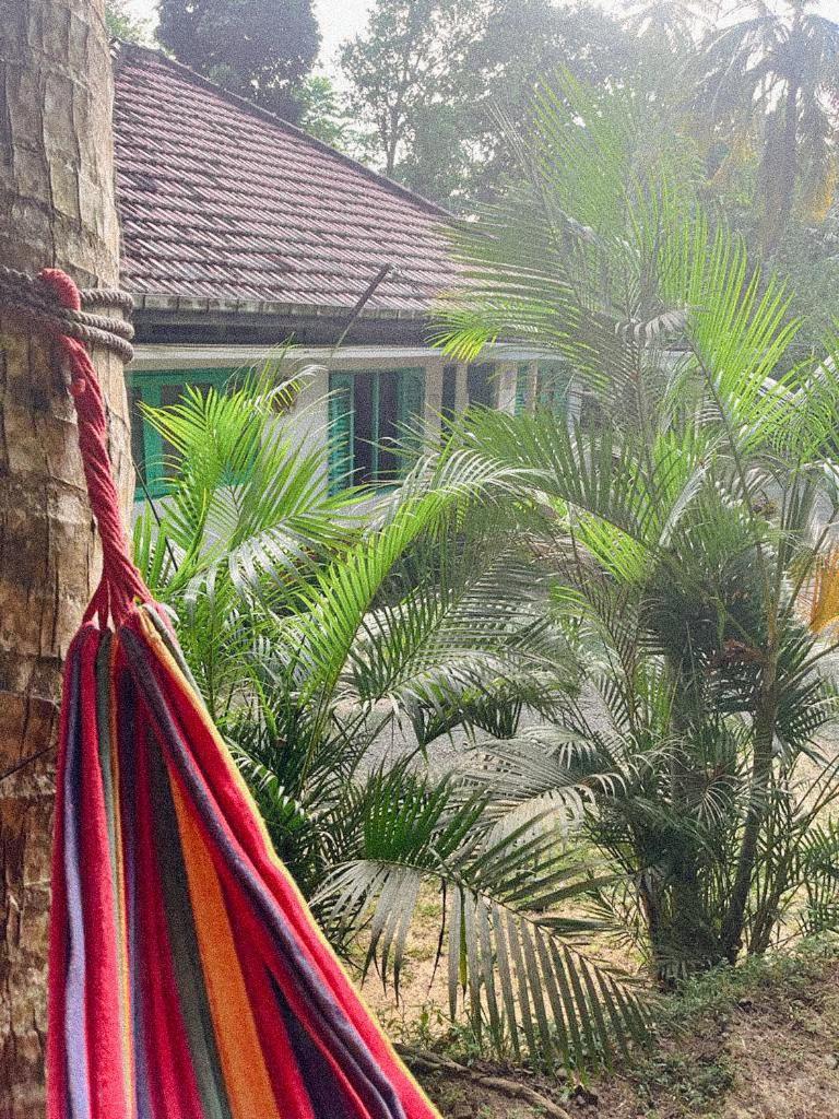 Lazy Monkey Surfhostel - Sri Lanka Dikwella Eksteriør billede