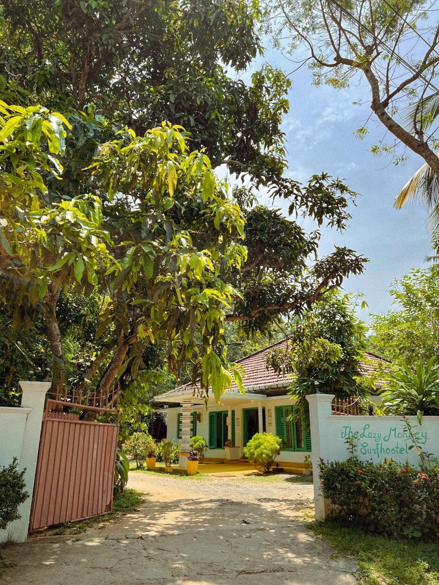 Lazy Monkey Surfhostel - Sri Lanka Dikwella Eksteriør billede