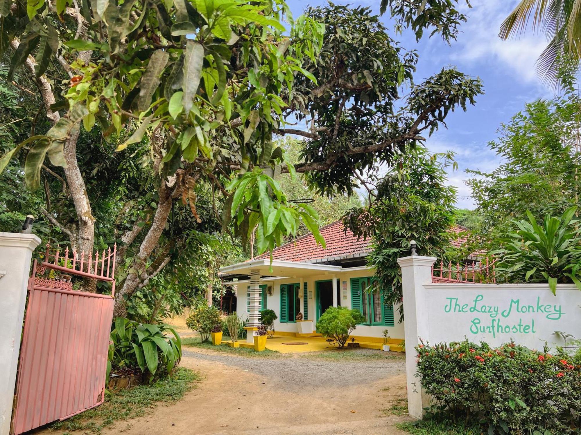 Lazy Monkey Surfhostel - Sri Lanka Dikwella Eksteriør billede
